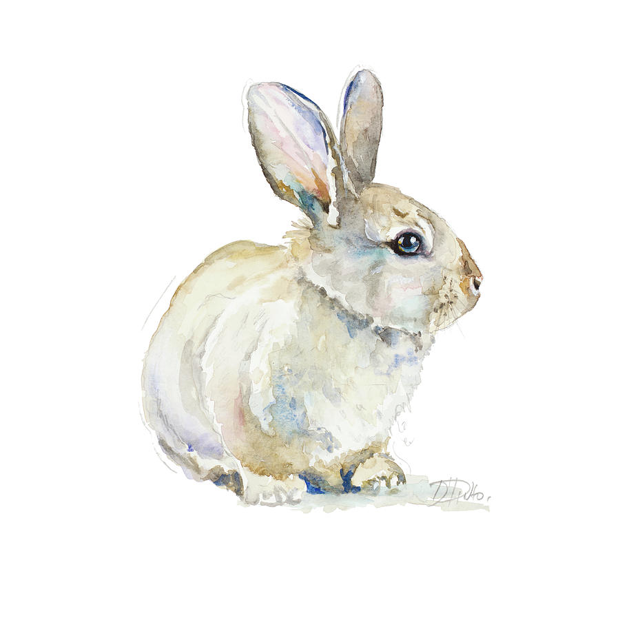 Animal Mixed Media - Baby Rabbit by Patricia Pinto