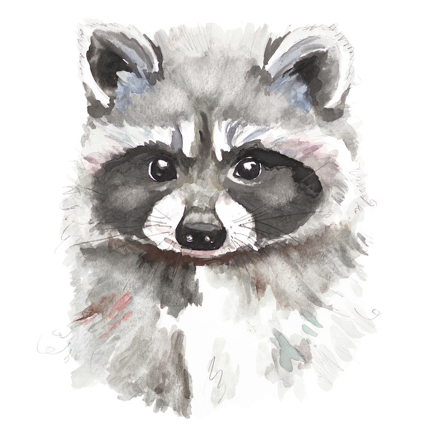 Animal Painting - Baby Raccoon by Patricia Pinto