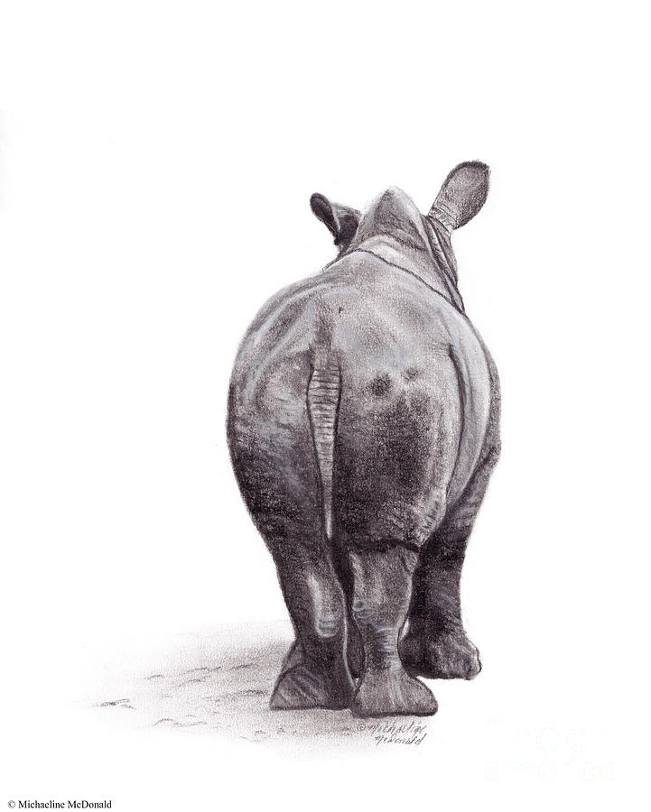 Baby Rhino Rump Drawing by Michaeline McDonald | Fine Art America