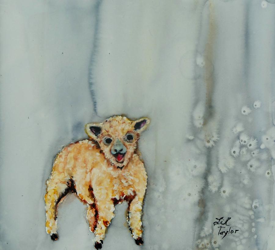 Baby Sheep Painting by Lil Taylor