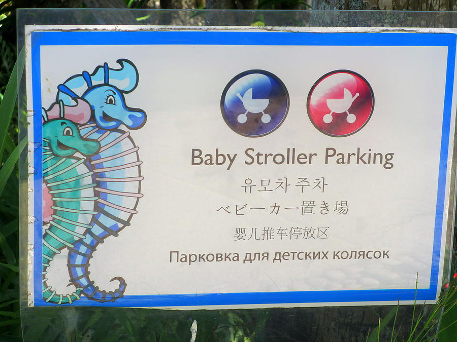 Baby Stroller Parking Photograph by Kay Novy