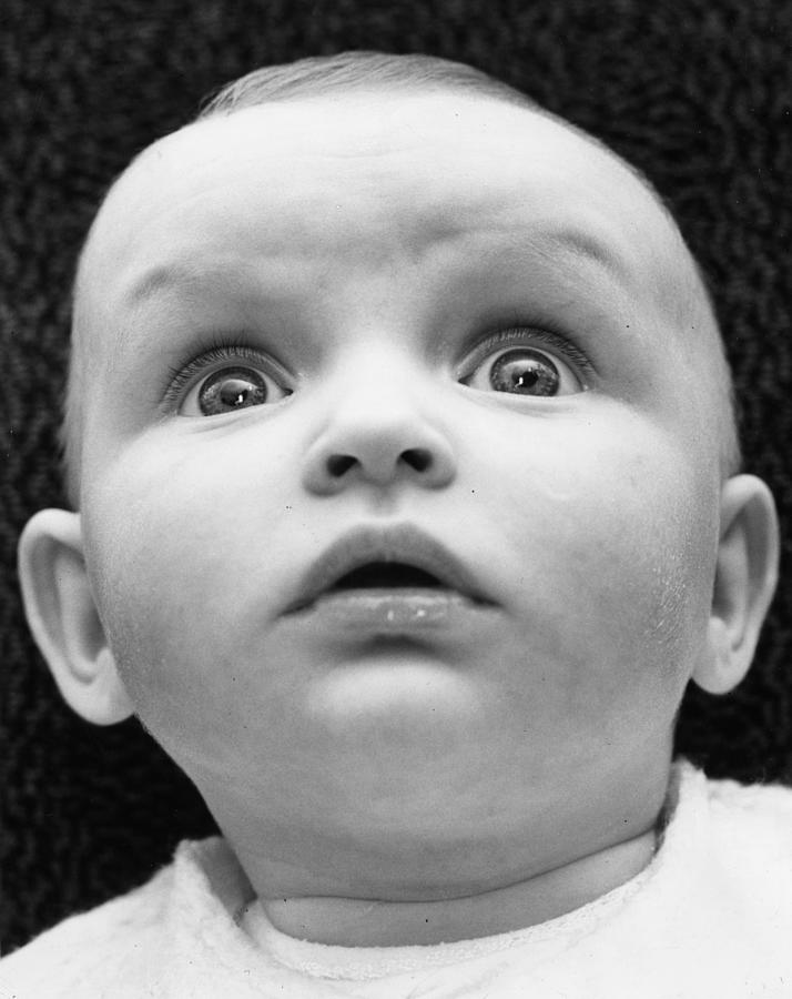 Babyface Photograph by Stallard Babyface Photograph by Stallard