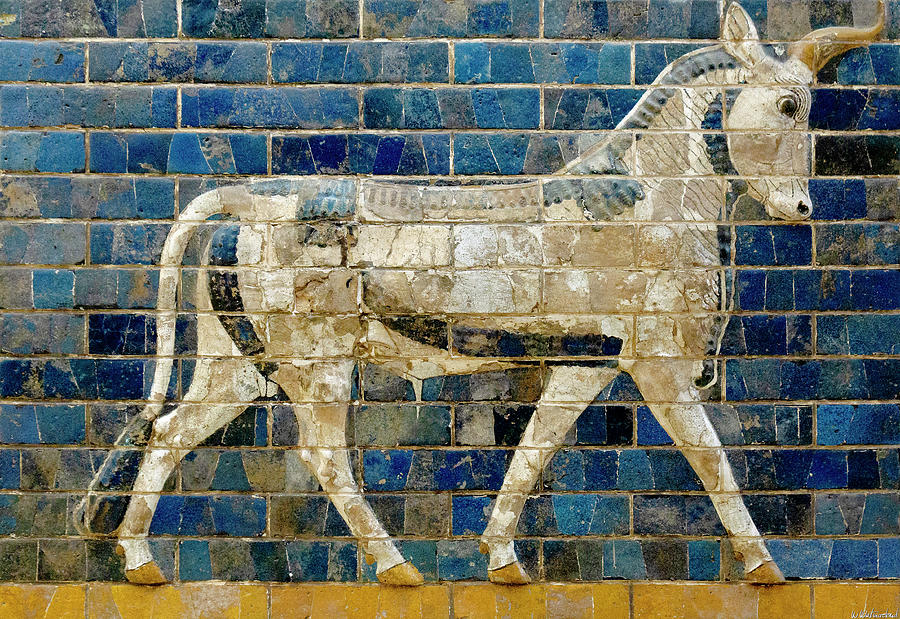 Babylonian Aurochs 01 Photograph by Weston Westmoreland
