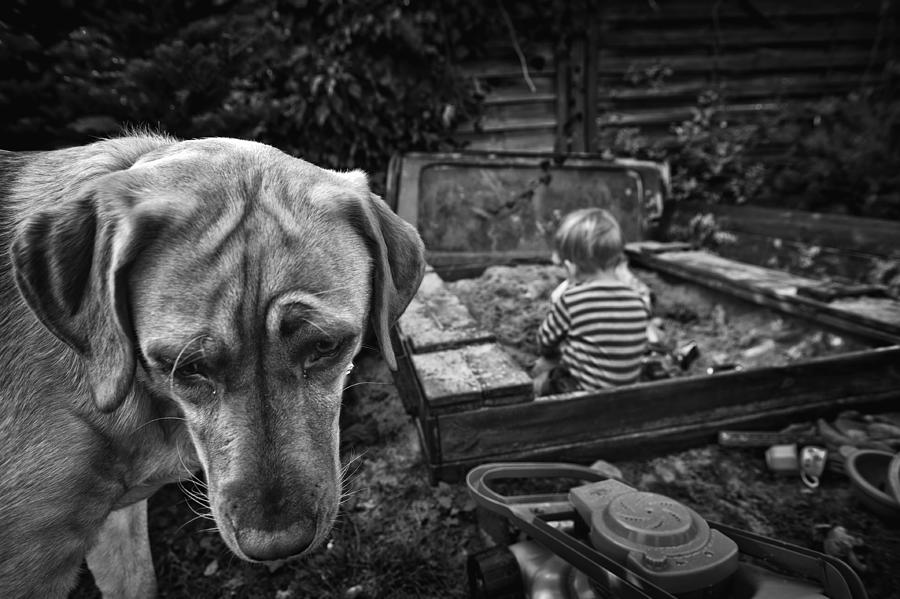 Babysitter Photograph by Monika Strzelecka Babysitter Photograph by Monika Strzelecka