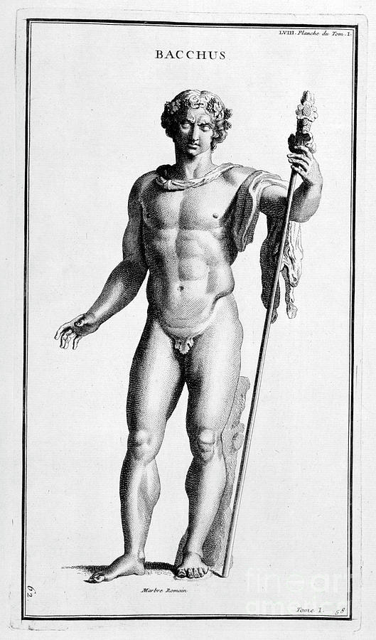 Bacchus, After A Roman Statue, 1757 Drawing by Print Collector