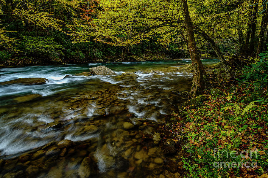 Back Fork of Elk River Fall  Photograph by Thomas R Fletcher
