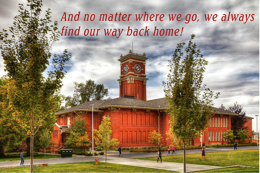 Washington State University Photograph - Back Home by David Patterson