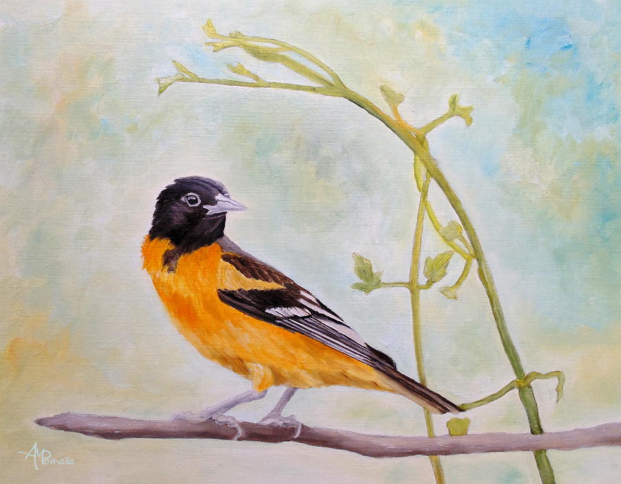 Back Looking Baltimore Oriole Painting by Angeles M Pomata