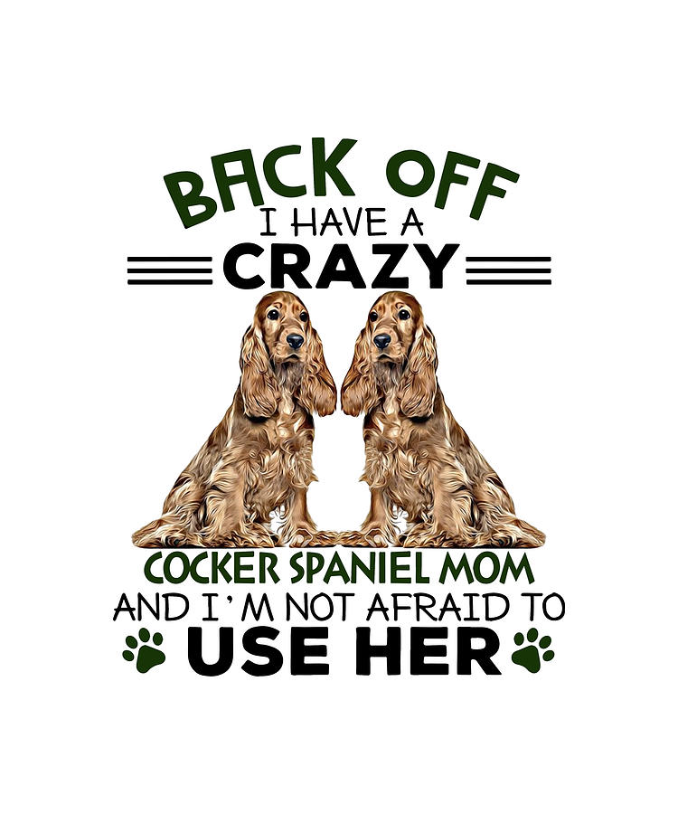crazy cocker spaniel