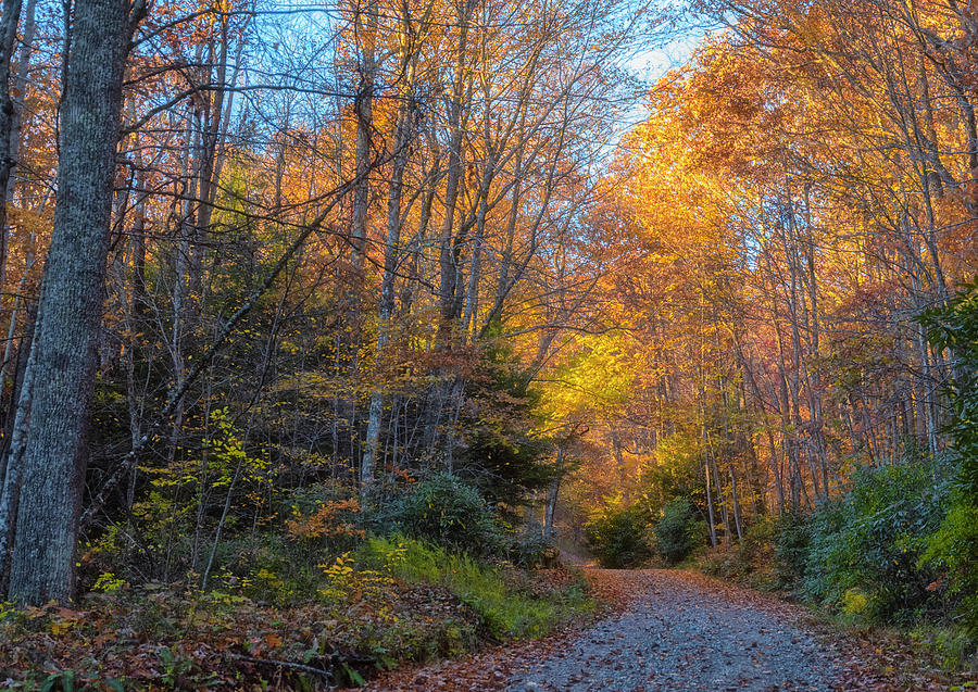 Fall Photograph - Back Road Beauty by Russell Pugh