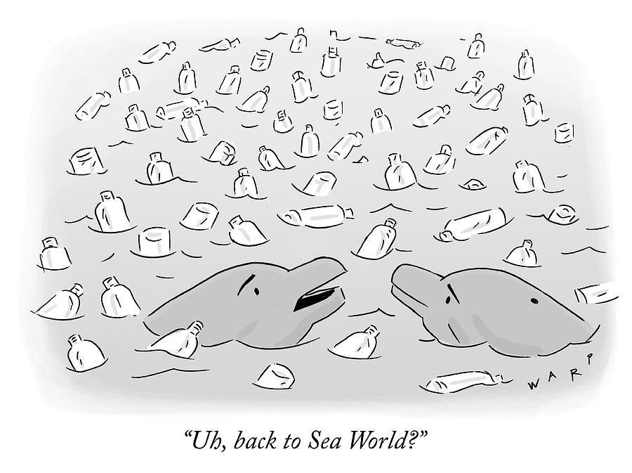 Back to Sea World Drawing by Kim Warp