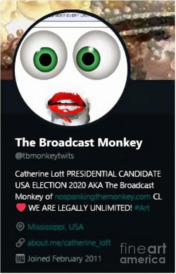 Back to tbmonkeytwits by Catherine Lott Back to tbmonkeytwits by Catherine Lott