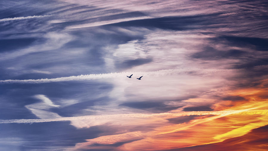 Back to the Sky Photograph by Jaroslav Buna