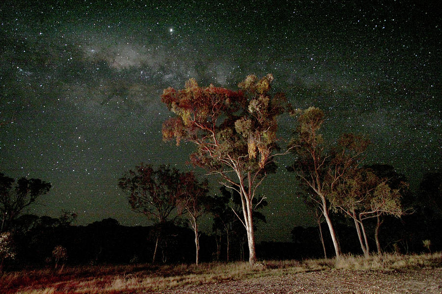 Back Under The Australian Starry Nights Photograph by Paco Alcantara
