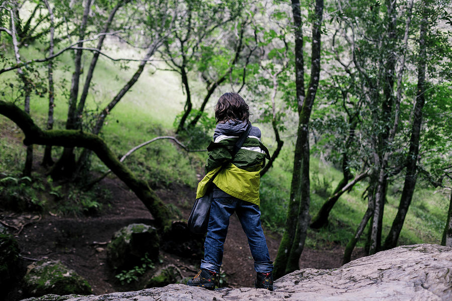 Back View Boy Standing Over Rock Looking Forest Photograph by Cavan ...