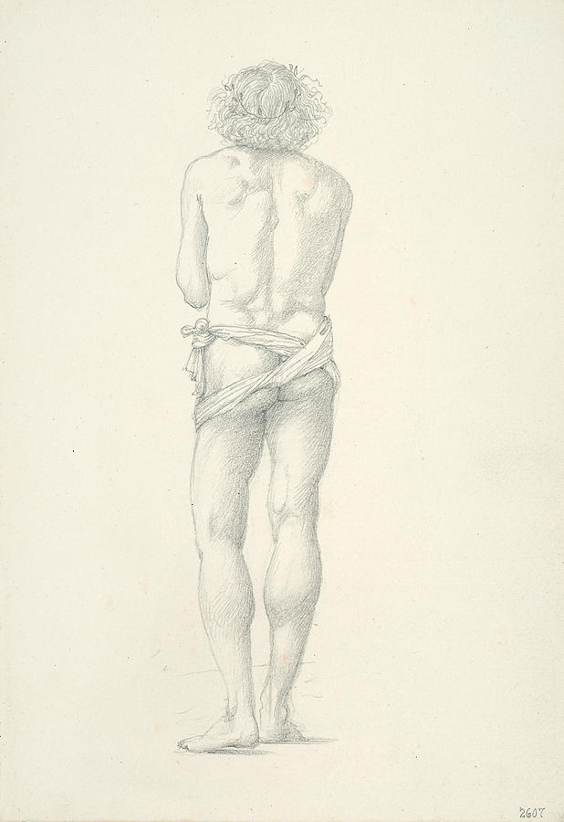 Back View of Standing Male Nude Drawing by Edward Burne-Jones