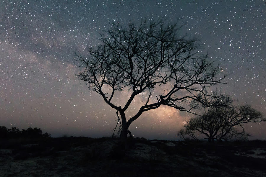 Backlit by the Milky Way Core on Assateague Island. Photograph by Ken Fullerton