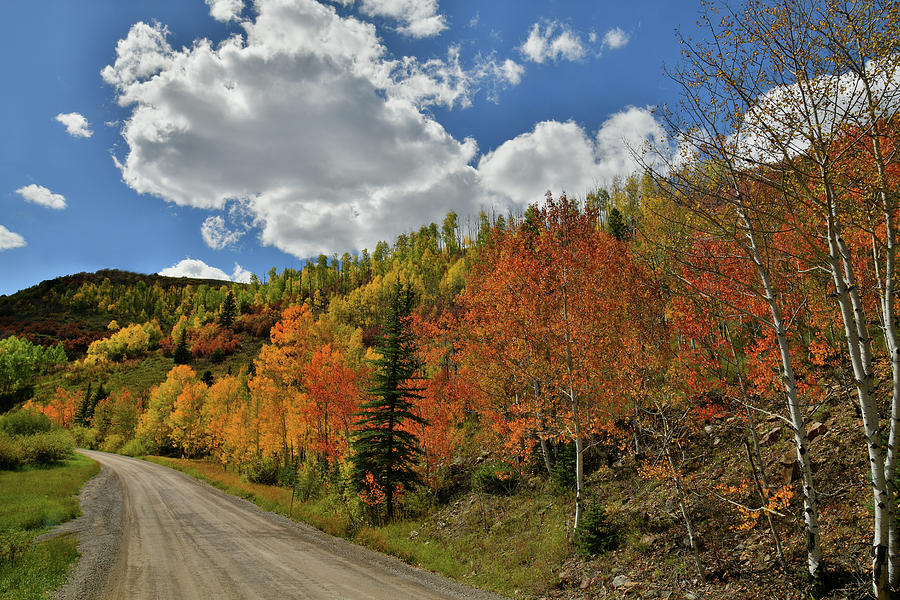 Backroad Fall Color on Wilson Mesa Photograph by Ray Mathis
