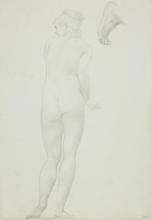 Edward Burne Jones Drawing - Backview of Standing Nude Woman and Sketch of a Foot by Edward Burne-Jones