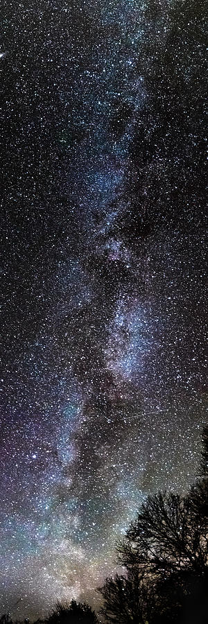 Backyard Milky Way Photograph by Brenda Petrella Photography Llc - Fine ...