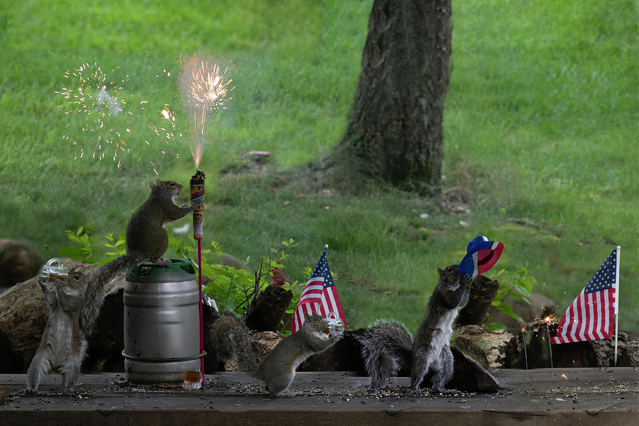 Backyard Squirrels enjoying fourth of July Photograph by Dan Friend