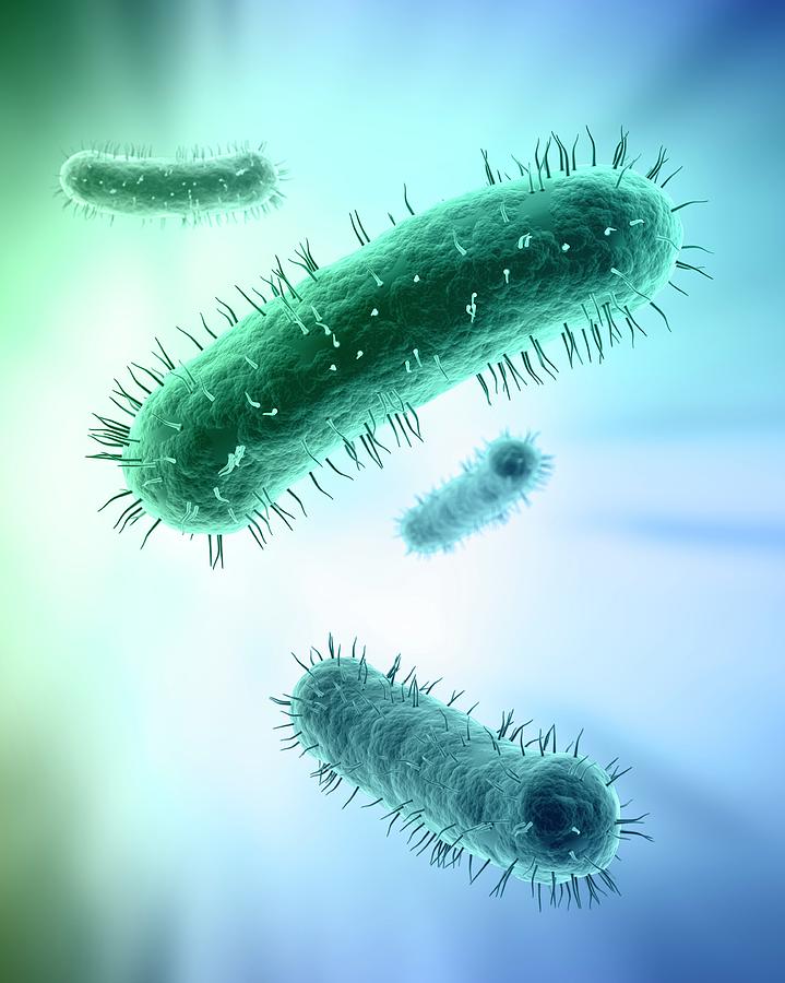 Bacteria, Artwork Digital Art by Andrzej Wojcicki