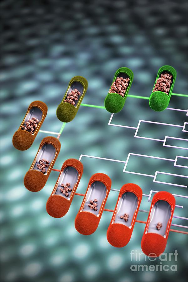 Bacterial Evolution And Adaptation Photograph by Equinox Graphics ...