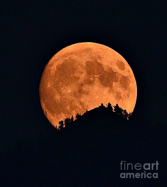 Bad Moon Rising Photograph by Dorrene BrownButterfield
