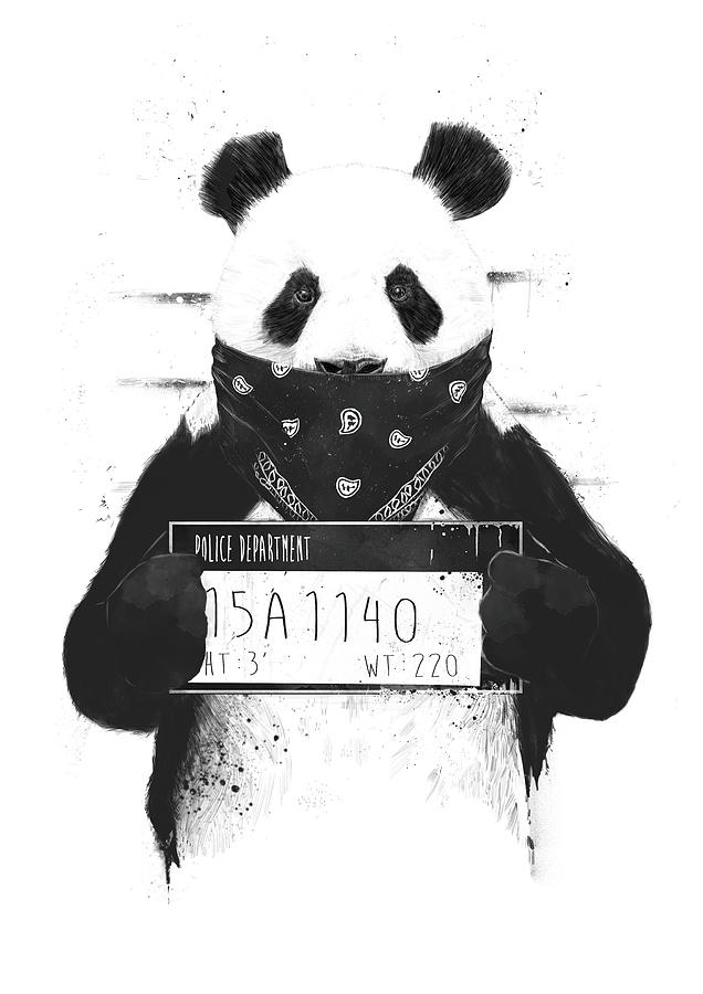 Panda Drawing - Bad panda by Balazs Solti