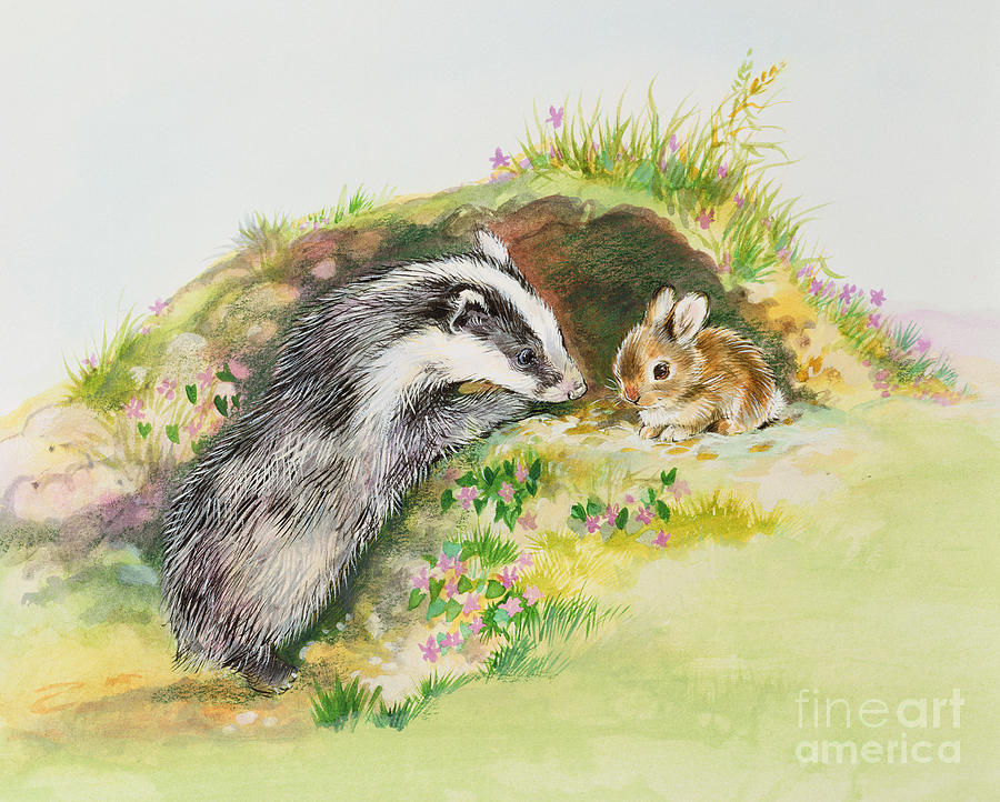 Badger And A Rabbit Painting by Diane Matthes - Fine Art America