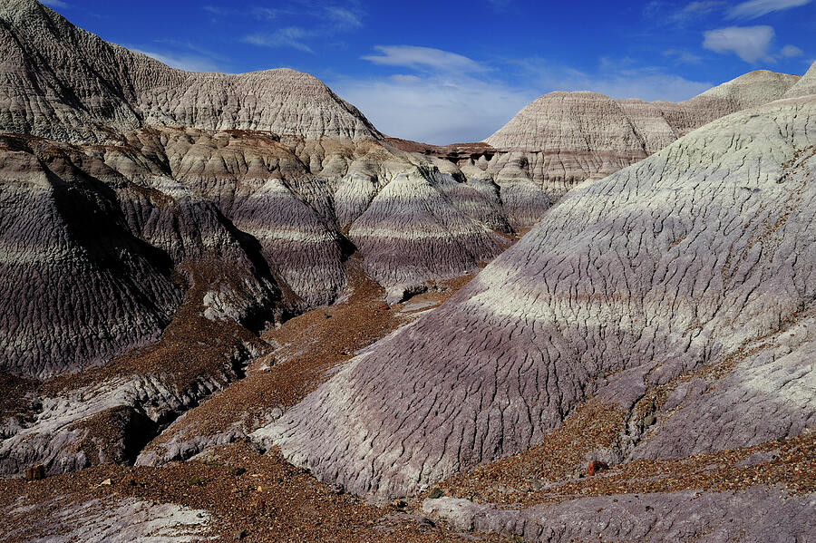 Badlands Formations In Blue Mesa, Painted Desert, Petrified Photograph by Jouan Rius / Naturepl.com Badlands Formations In Blue Mesa, Painted Desert, Petrified Photograph by Jouan Rius / Naturepl.com