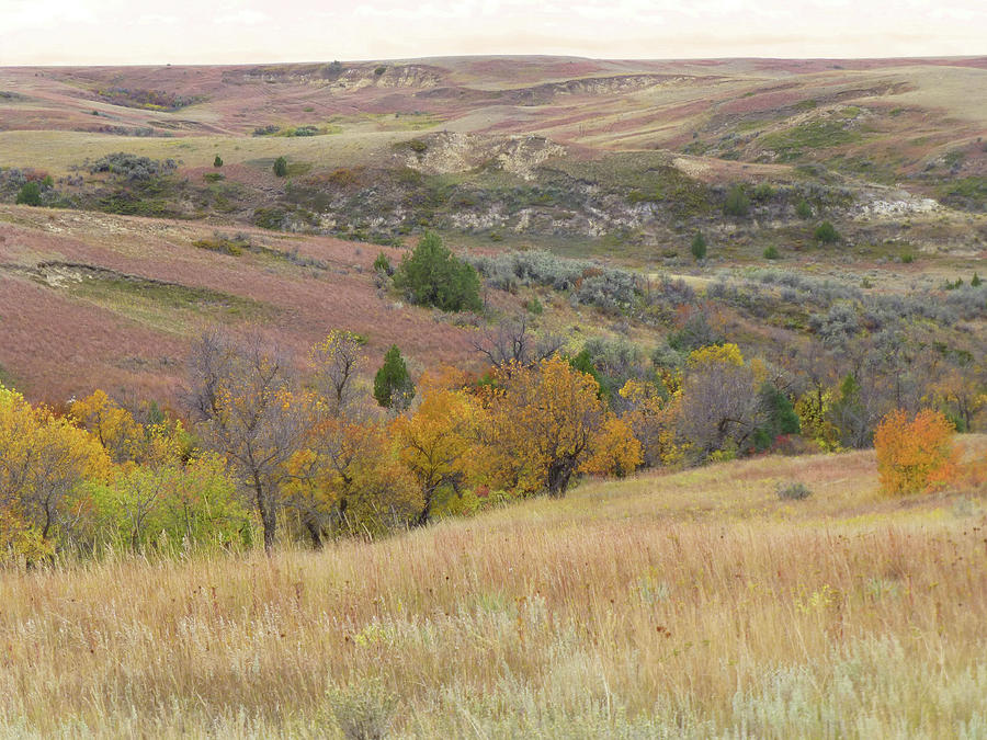 North Dakota Photograph - Badlands Prairie Rhapsody by Cris Fulton