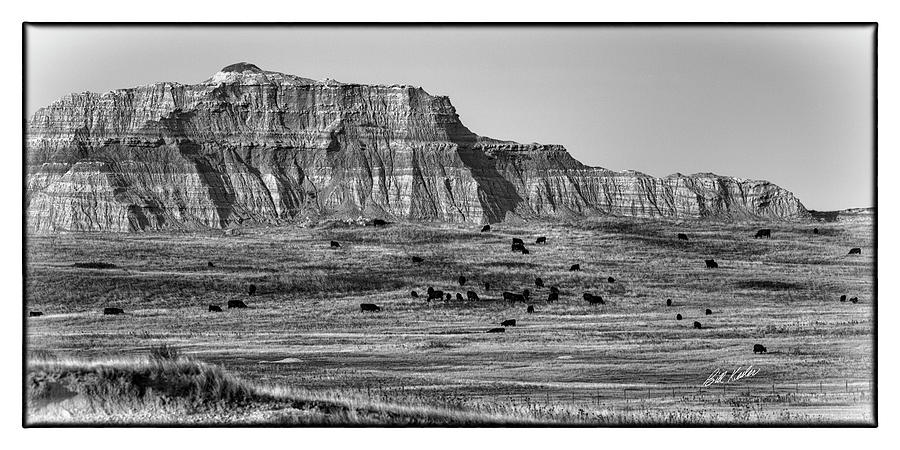 Badlands Ranching Photograph by Bill Kesler