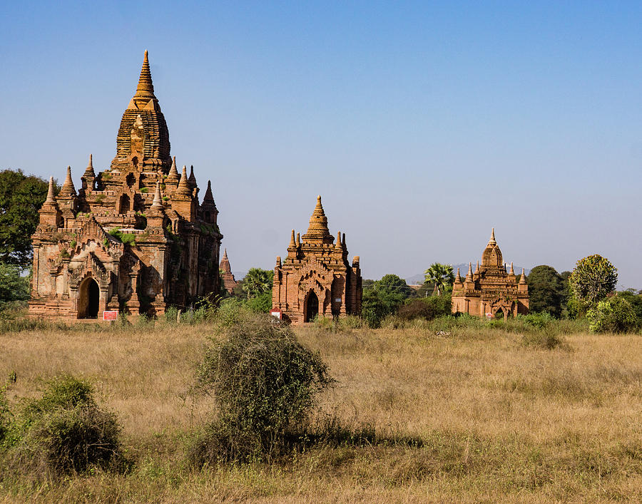 Bagan Pagodas Photograph by Ann Moore