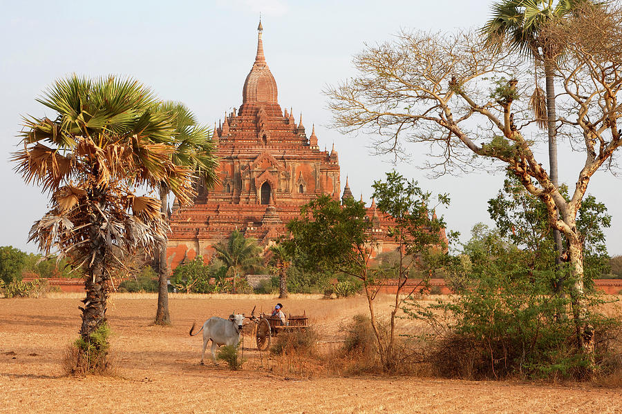 Bagan Sunrise - Myanmar Photograph by Jlr