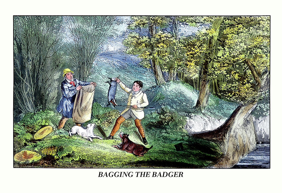 Bagging the Badger Painting by Henry Thomas Alken