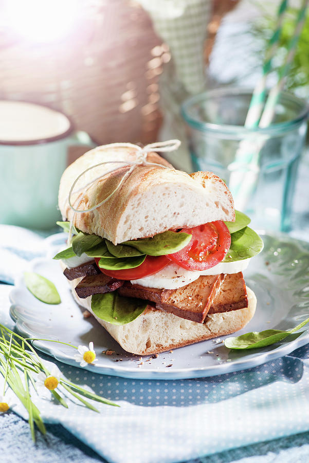 Baguette Sandwich With Tofu, Tomato And Mozzarella For A Picnic Photograph by Fotografie-lucie-eisenmann