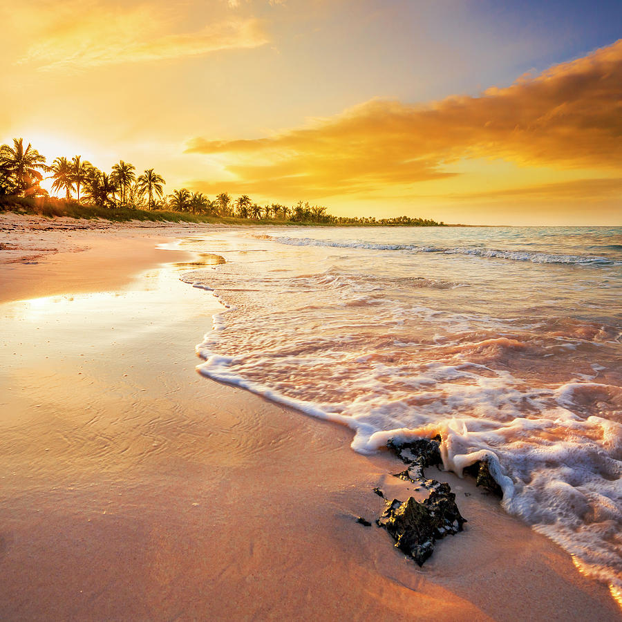 Bahamas, Eleuthera, Caribbean Sea, Atlantic Ocean, Caribbean, Beach At Governors Harbor Digital Art by Pietro Canali