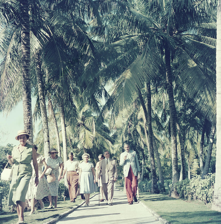 Bahamas Palm Trees Photograph by Slim Aarons