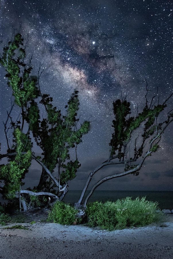 Bahia Honda Milky Way 1 Photograph by David Hart