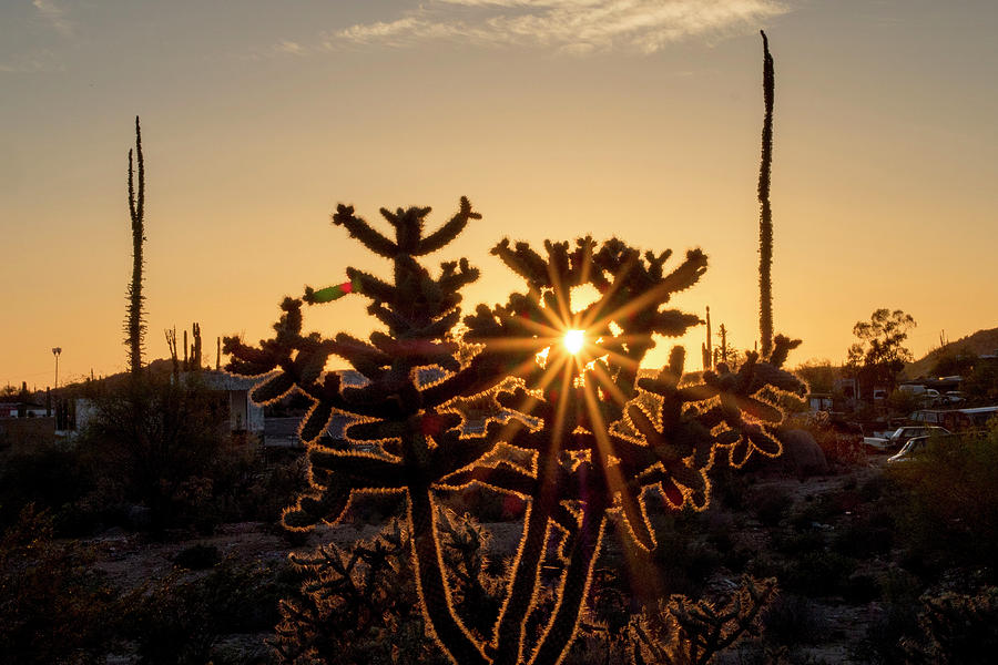Sunset Digital Art - Baja California Landscape, Mexico by Natalino Russo