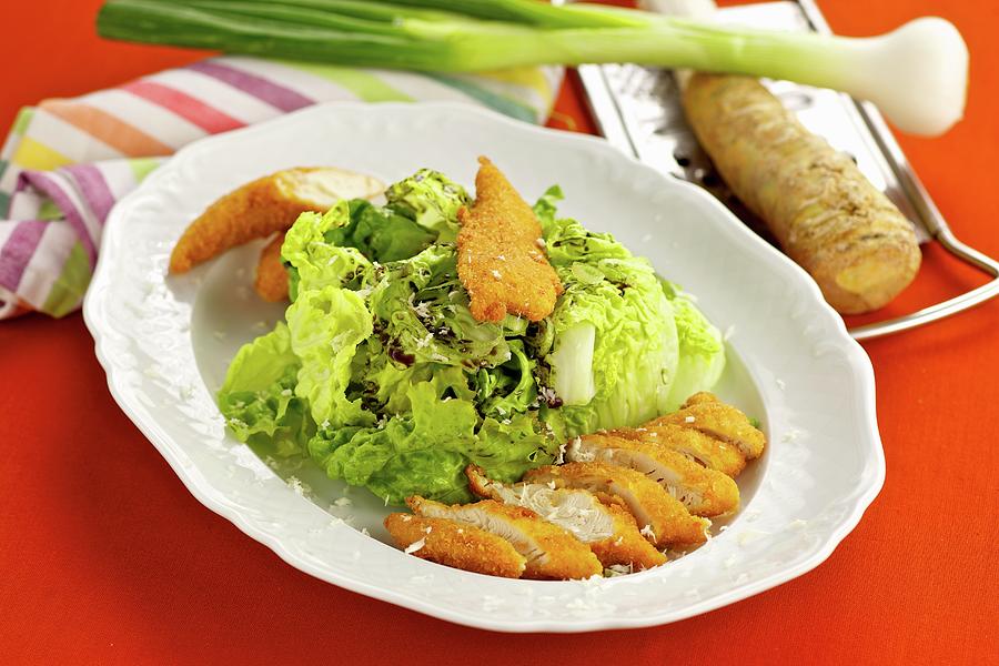 Baked Chicken Strips With A Green Salad Photograph by Herbert Lehmann