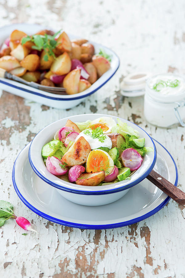 Baked Potato And Radish Salad Photograph by Irina Meliukh