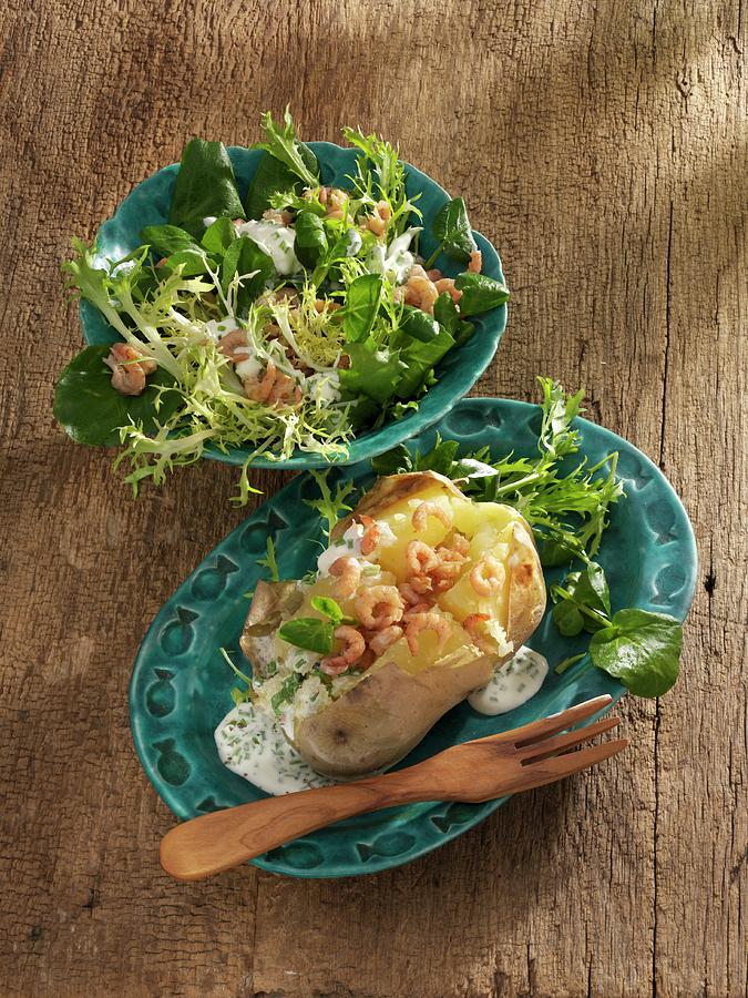 Baked Potatoes With Shrimps, Frisee Lettuce And Water Cress Photograph by Karl Newedel