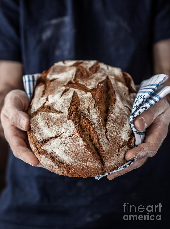 Small Photograph - Baker Man Holding Rustic Organic Loaf by Pinkyone Small Photograph - Baker Man Holding Rustic Organic Loaf by Pinkyone