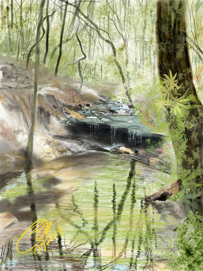 Baker Mountain Stream Digital Art by Joel Deutsch