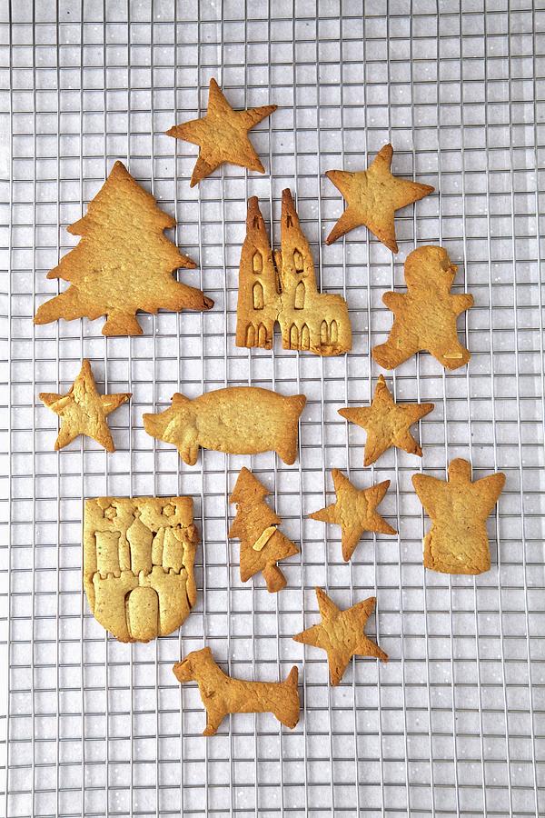 Baking Gingerbread Christmas Cookies With Antique Forms Photograph by Andre Baranowski
