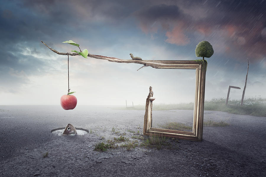 Surrealism Photograph - Balance by Peter Cakovsky