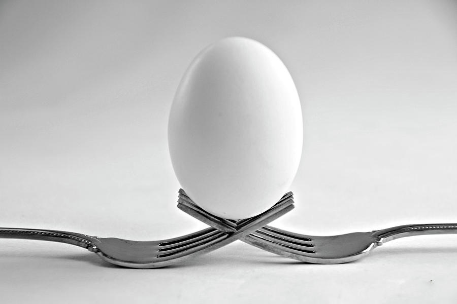 Egg Photograph - Balance the egg. by Minnetta Heidbrink
