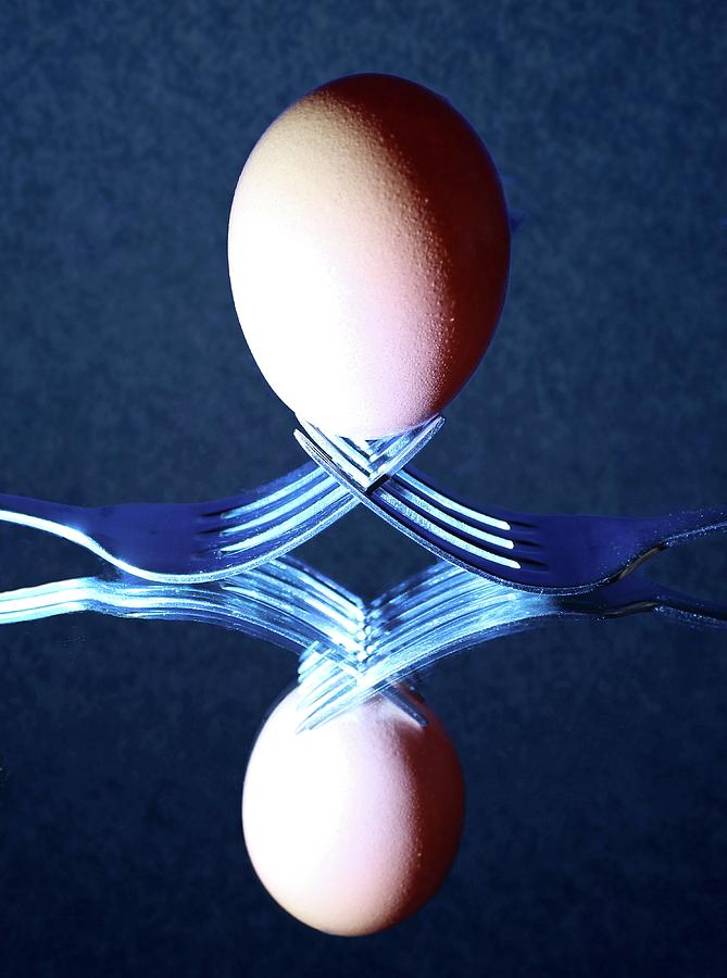 Balanced egg Photograph by Martin Smith
